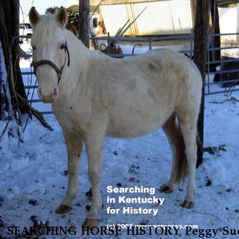 SEARCHING HORSE HISTORY Peggy Sue, Near Stamping Ground, KY, 40379